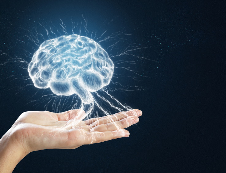 The Power of Memory: Unlocking Better Health, Focus, and Daily Living