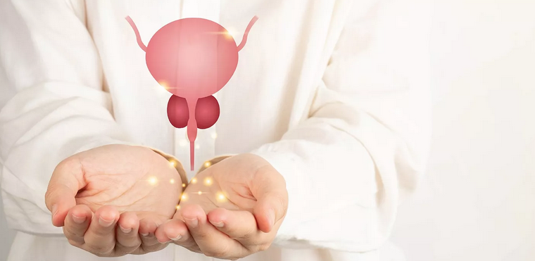 Prostate Health: Complete Guide to Maintaining